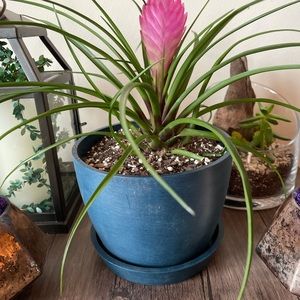 Meet your Posher, Keerun